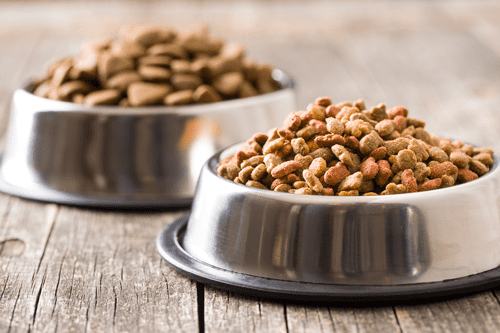Pet Food FDA Violation